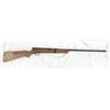 Image 2 : .22 RIFLE