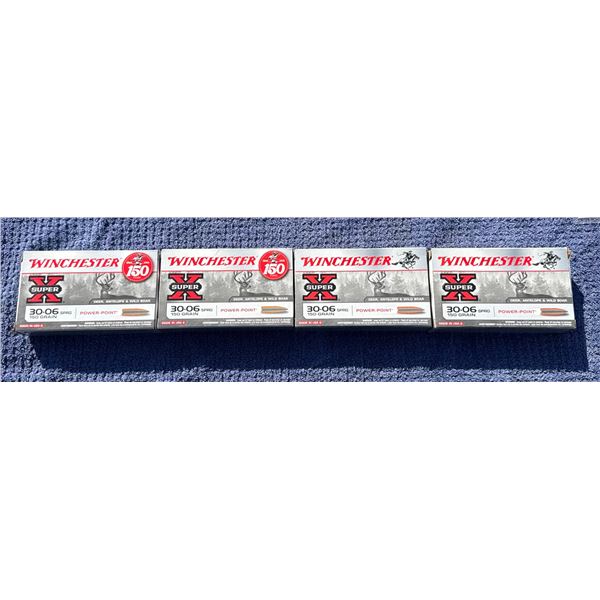 30-06 SPRG WINCHESTER (INTERNAL REFERENCE: P)
