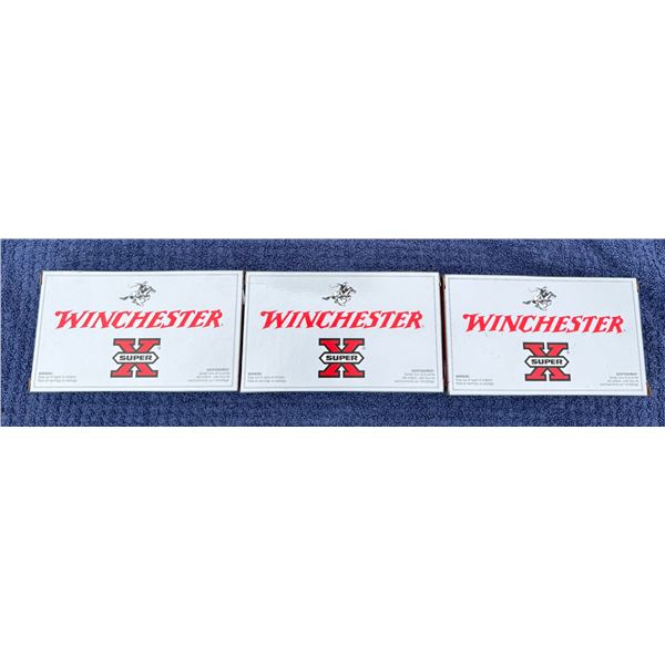 300 WIN MAG WINCHESTER (INTERNAL REFERENCE: U)