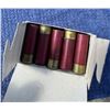 Image 4 : 12 GA TRAP LOADS PAPER SHELLS REMINGTON (INTERNAL REFERENCE: III)