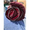 Image 4 : TENT AND SLEEPING BAG