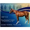 Image 1 : Filly Echo Town Violate
