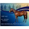 Image 1 : Filly Mo Donegal Frivolous Alex
