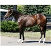 Image 1 : Filly Fed Biz Hopes Appeal
