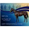 Image 1 : Filly City Wolf Jungle Rose