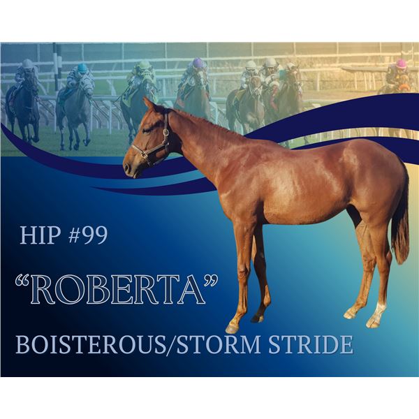 Filly Boisterous Storm Stride