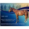 Image 1 : Filly Boisterous Storm Stride