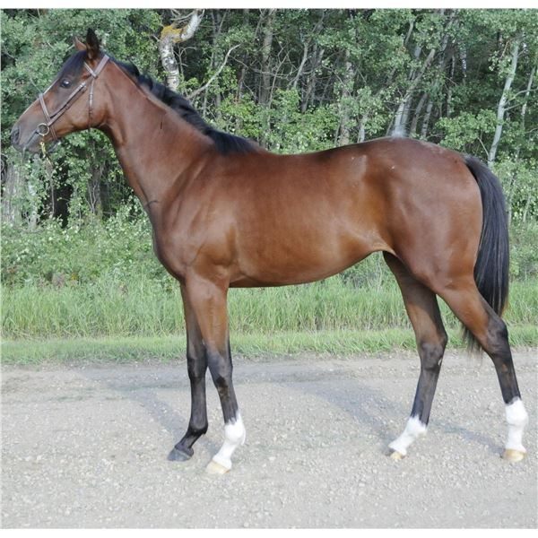 Filly Om Zagrah