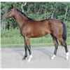 Image 1 : Filly Om Zagrah
