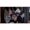 Image 5 : Gremlins 2: The New Batch (1990) - Mohawk Mogwai Puppet Face