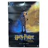 Image 1 : Harry Potter and the Chamber of Secrets (2002) - Double-Sided Theater Teaser Poster