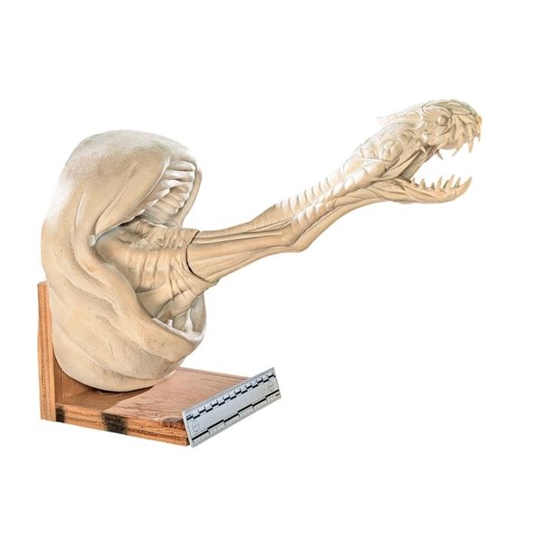 Evolution (Phil Tippett 2001) - Cutie Pie Monster Maquette - Lot A