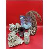 Image 1 : Coral & Shell Lot