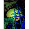 Image 3 : VTG "Night Watcher" & "Angelfish" Black Light Posters