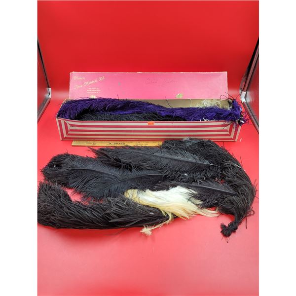 VTG Anne Muirhead Ltd. Ostrich Feathers