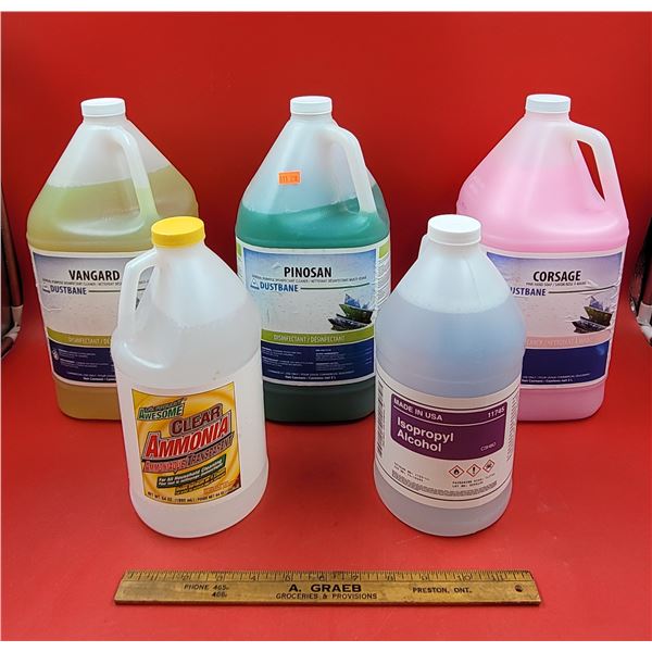Lot of Assorted Disinfectants & Cleaners