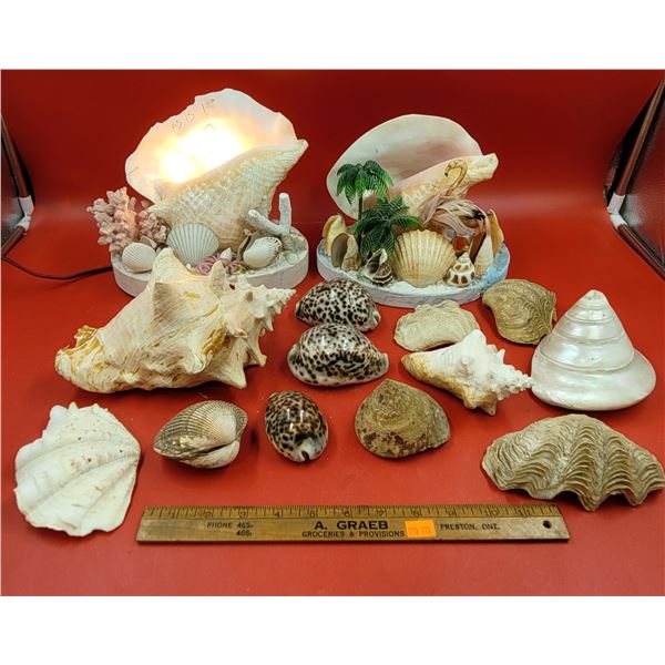 Sea Shell Lot VTG Shell Lamp