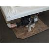 Image 3 : Jacuzzi Tub w/ Pump