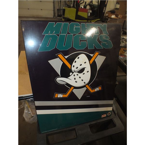 Mighty Ducks Picture