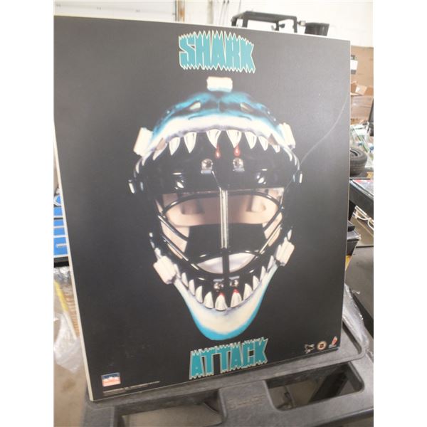 Shark Attack Picture