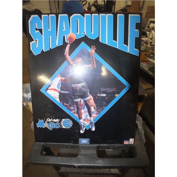 Shaquille O'Neill Picture