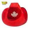 Image 4 : 2x Vintage Cowboy Hats: Dynafelt & Canada Maple Leaf