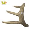 Image 4 : 2 Deer Antlers - Each is 13" Long