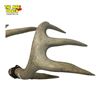 Image 6 : 2 Deer Antlers - Each is 13" Long