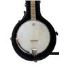 Image 2 : Fender 5 String Banjo Guitar KD03050544