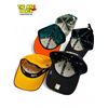 Image 2 : 5x Sports Hats : Oregon, Miami Dolphins, Redskins, 49ers, & More