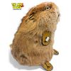 Image 2 : Vintage First Nations Hand Made Beaver Taxidermy With Bead Work