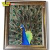 Image 1 : Vintage Original Peacock Art Work With Real Feathers
