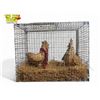 Image 1 : Vintage Caged Wicker Chickens