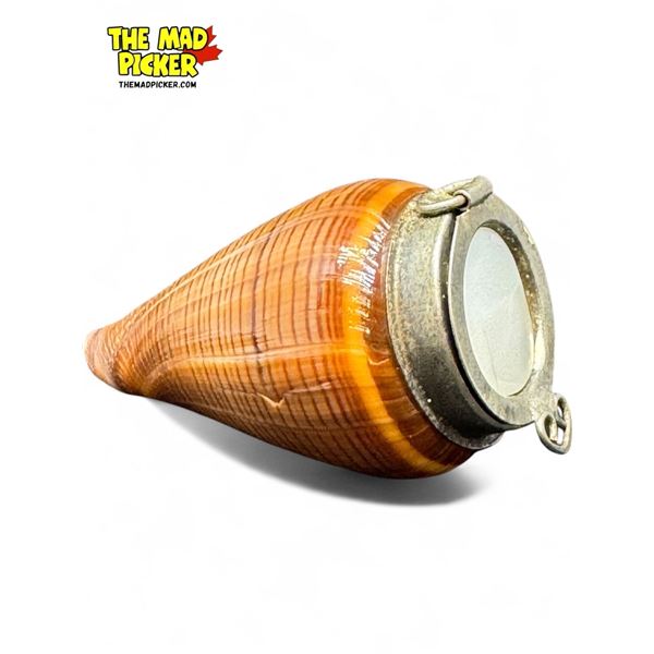 Vintage Unusual Hermit Crab Shell Pill Box