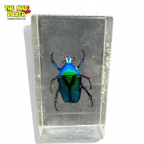 Vintage Green Chafer Beetle Paperweight
