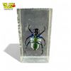 Image 2 : Vintage Green Chafer Beetle Paperweight