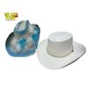 Image 4 : 5x Vintage Hats : 4x Cowboy Style 1x Victoria Jazz Party