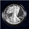 Image 1 : 2013 Silver Eagle Proof