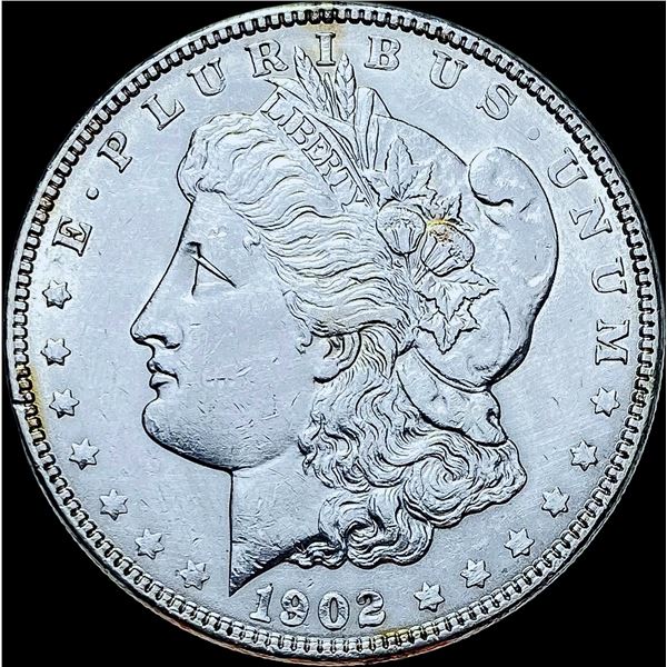 1902 Morgan Silver Dollar CHOICE AU