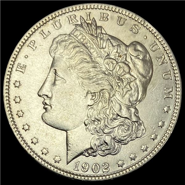 1902 Morgan Silver Dollar CHOICE AU