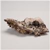 Image 1 : Hematite Phantom Quartz Crystal Geode Cluster