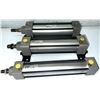 Image 1 : Lot of (3) Numatics Cylinders