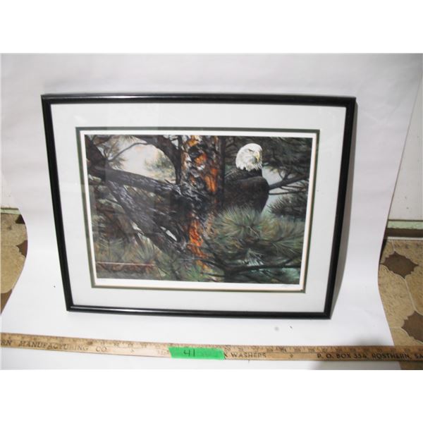 1991 edition lithographic print #157/ 2950 by edward aldrich in frame (20x16.5)in