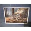 Image 2 : Lissa calvert 1991 print "wolf" with sleepy pups" frame (14x17)
