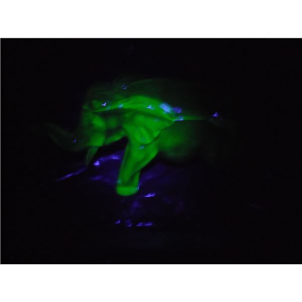 Rare uranium green glass elephant candy dish- chip on top, small repair to tusk) (7x14 in long)