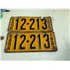 Image 1 : Matched Set of 1923 License Plates