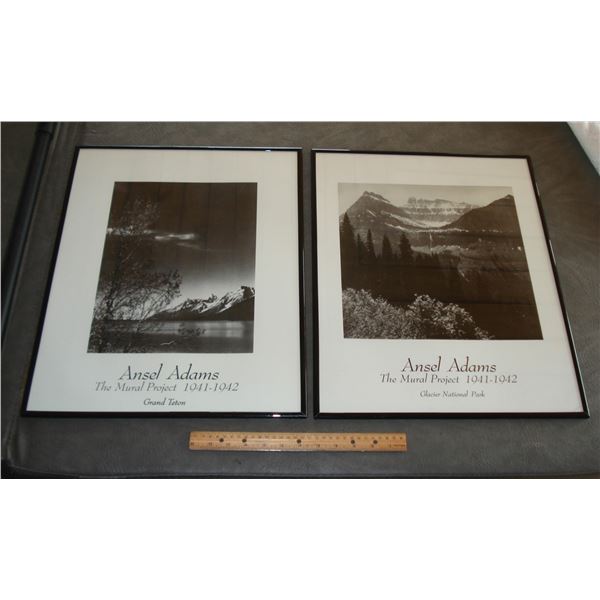 Pair Ansel Adams Pictures