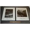 Image 1 : Pair Ansel Adams Pictures