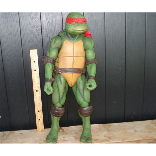 Large Ninja Turtle