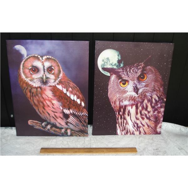 Pair Owl Pictures